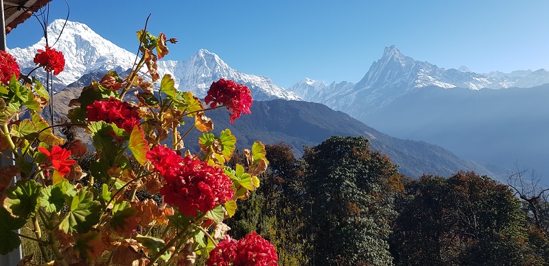 Mohare Danda and Gorepani, poon hill including the Mulde View Trek
