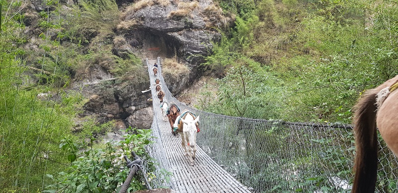 Tsum Valley Trek