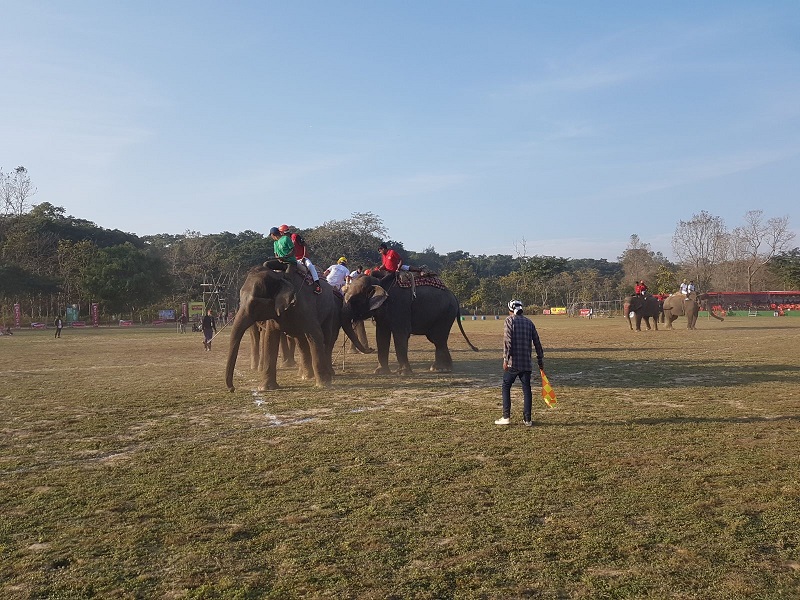 Chitwan Tour